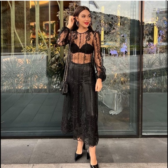 Salezara Embroidered Semi Sheer Dress 